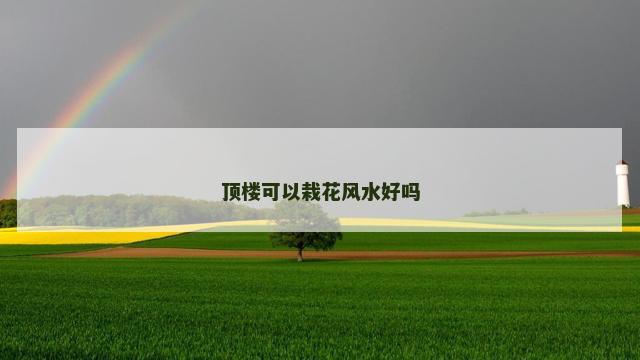 顶楼可以栽花风水好吗