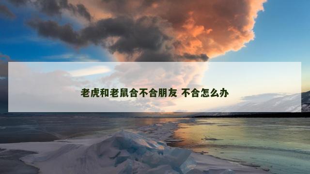 老虎和老鼠合不合朋友 不合怎么办