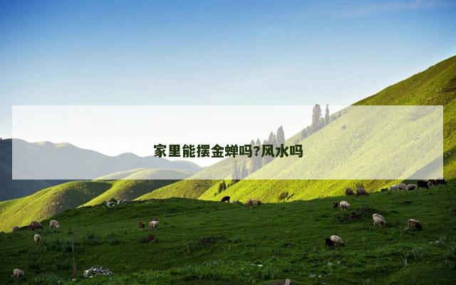 家里能摆金蝉吗?风水吗