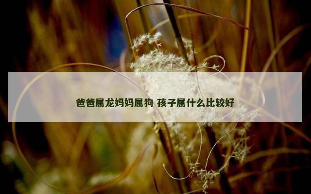 爸爸属龙妈妈属狗 孩子属什么比较好