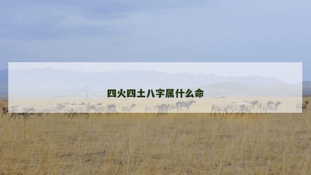 四火四土八字属什么命