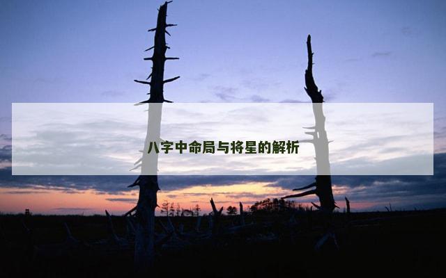 八字中命局与将星的解析
