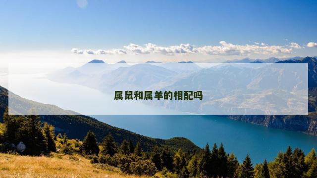 属鼠和属羊的相配吗