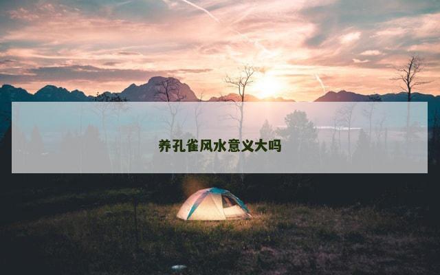 养孔雀风水意义大吗