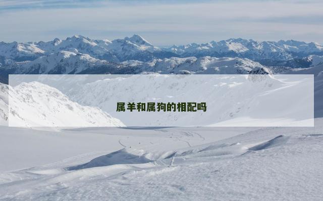 属羊和属狗的相配吗