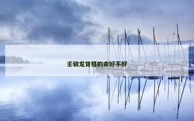 壬骑龙背格的命好不好