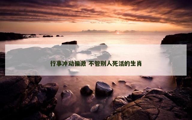 行事冲动偏激 不管别人死活的生肖