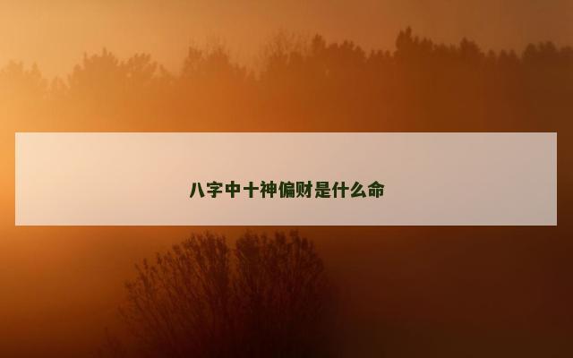 八字中十神偏财是什么命