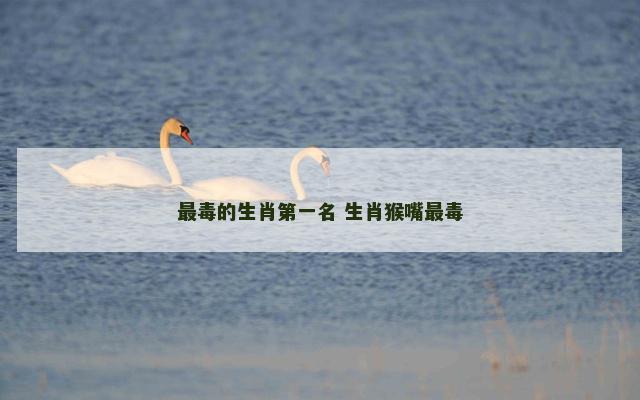 最毒的生肖第一名 生肖猴嘴最毒