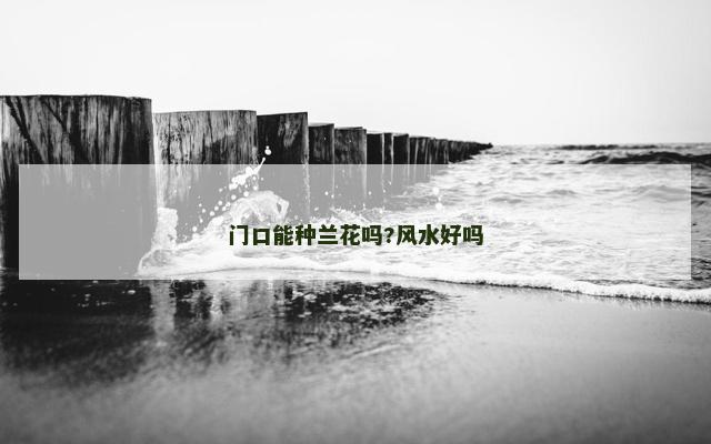 门口能种兰花吗?风水好吗