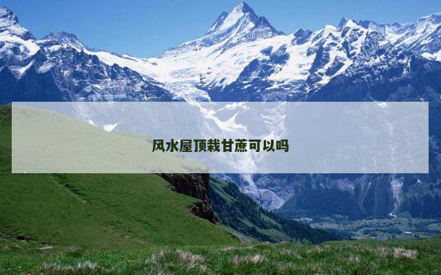 风水屋顶栽甘蔗可以吗