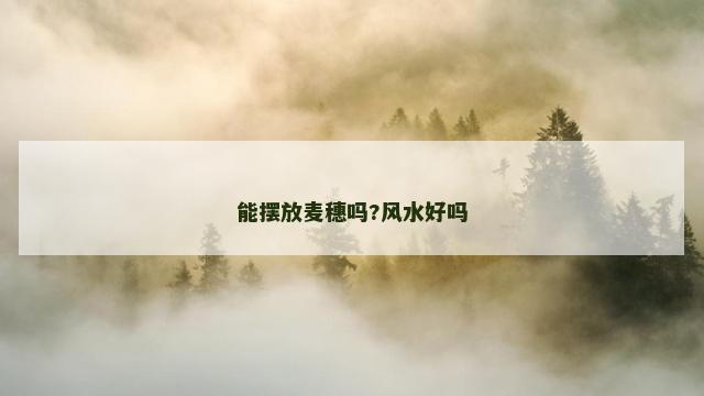能摆放麦穗吗?风水好吗
