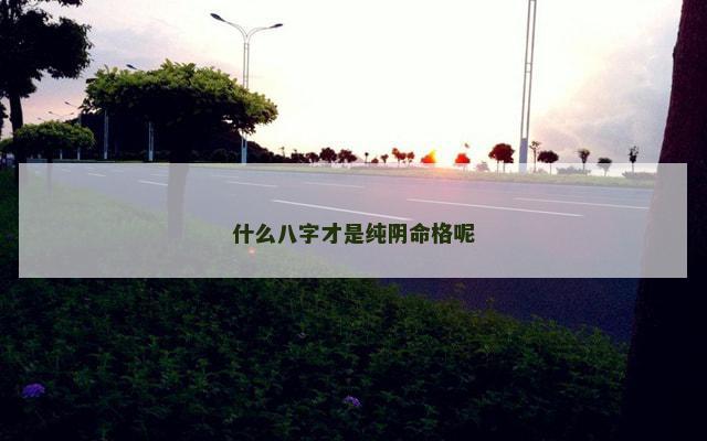 什么八字才是纯阴命格呢