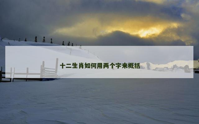 十二生肖如何用两个字来概括