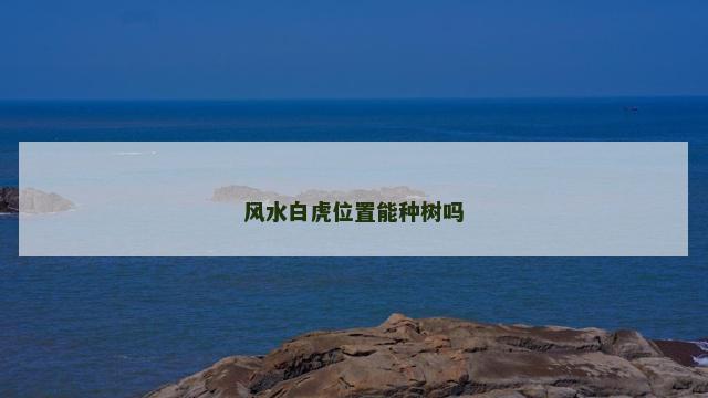 风水白虎位置能种树吗