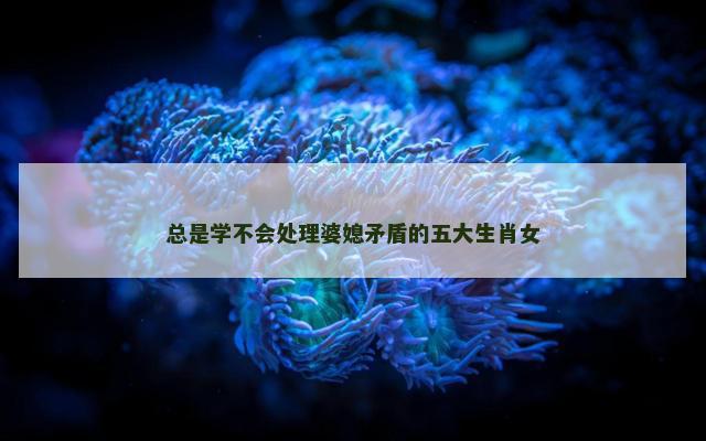总是学不会处理婆媳矛盾的五大生肖女