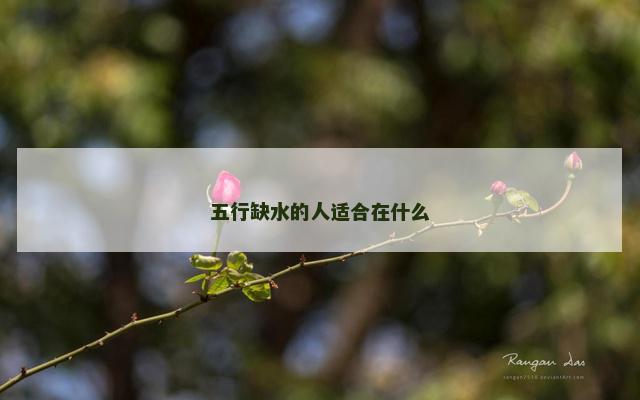 五行缺水的人适合在什么