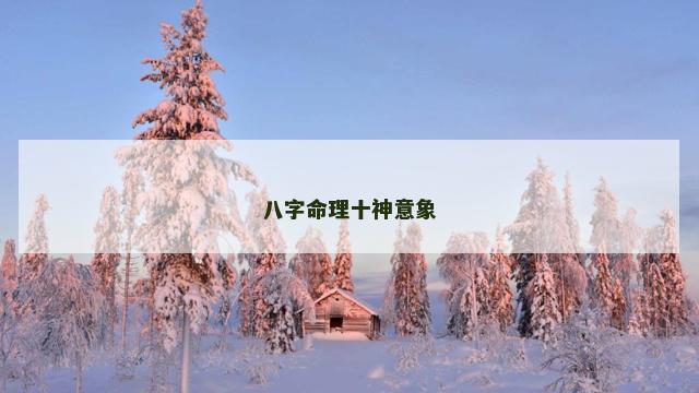 八字命理十神意象