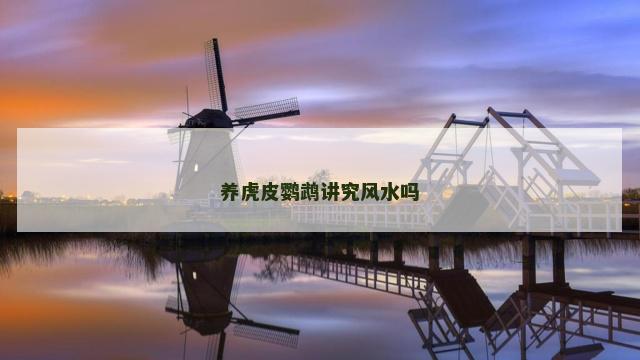 养虎皮鹦鹉讲究风水吗