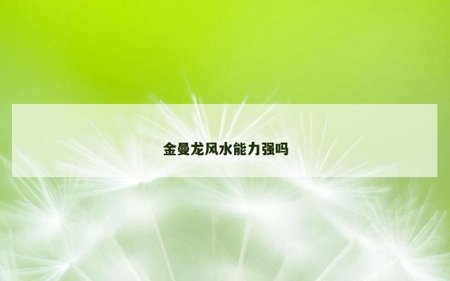 金曼龙风水能力强吗