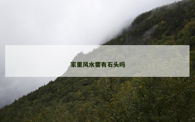 家里风水要有石头吗