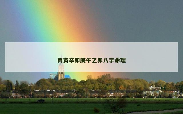 丙寅辛卯庚午乙卯八字命理