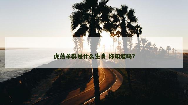 虎荡羊群是什么生肖 你知道吗？