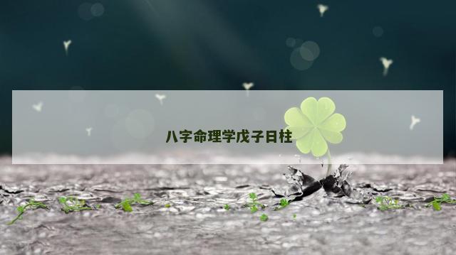 八字命理学戊子日柱