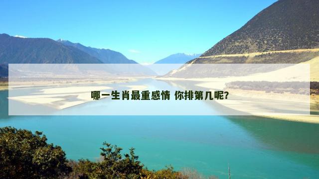 哪一生肖最重感情 你排第几呢？