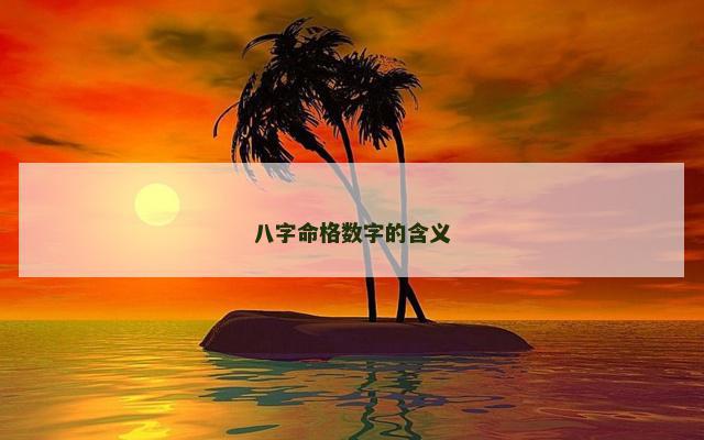 八字命格数字的含义