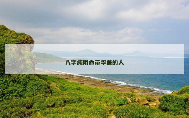 八字纯阴命带华盖的人