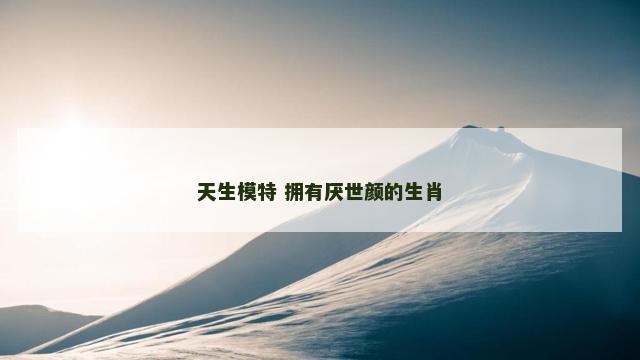 天生模特 拥有厌世颜的生肖