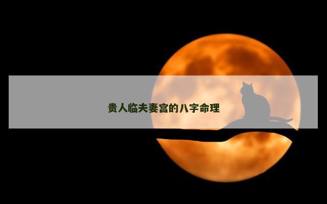 贵人临夫妻宫的八字命理