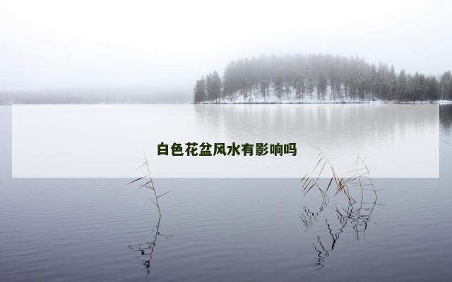 白色花盆风水有影响吗