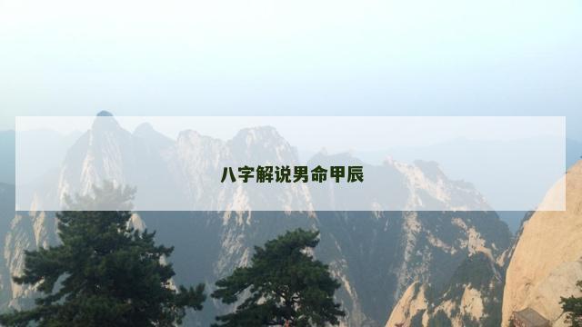 八字解说男命甲辰