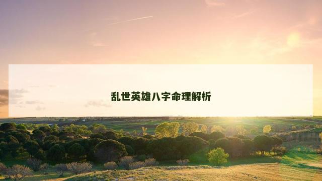 乱世英雄八字命理解析