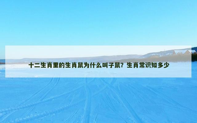 十二生肖里的生肖鼠为什么叫子鼠？生肖常识知多少
