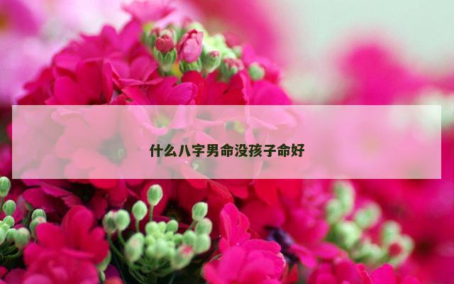 什么八字男命没孩子命好