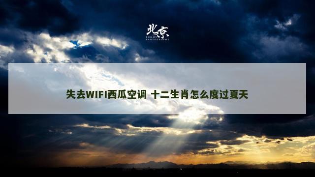 失去WIFI西瓜空调 十二生肖怎么度过夏天