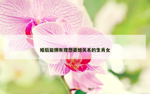 婚后能拥有理想婆媳关系的生肖女