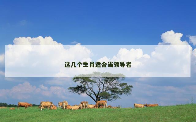 这几个生肖适合当领导者