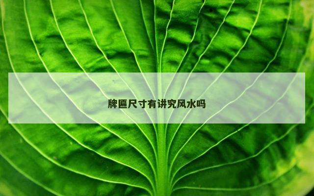 牌匾尺寸有讲究风水吗