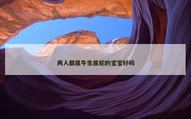 两人都属牛生属蛇的宝宝好吗