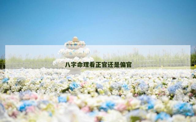 八字命理看正官还是偏官