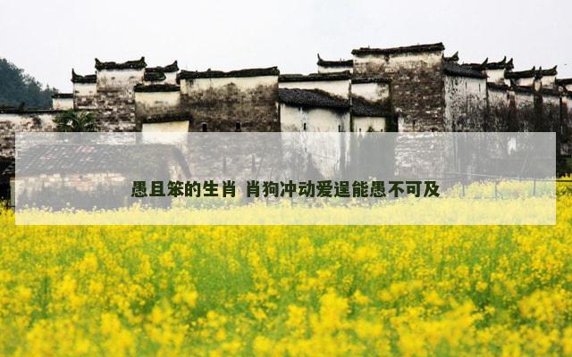 愚且笨的生肖 肖狗冲动爱逞能愚不可及