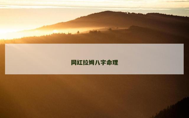 网红拉姆八字命理