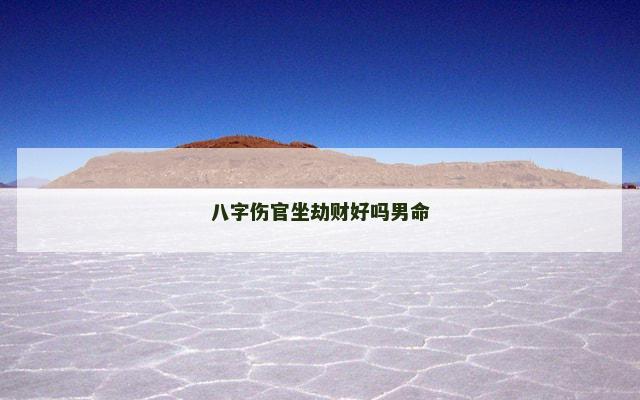 八字伤官坐劫财好吗男命