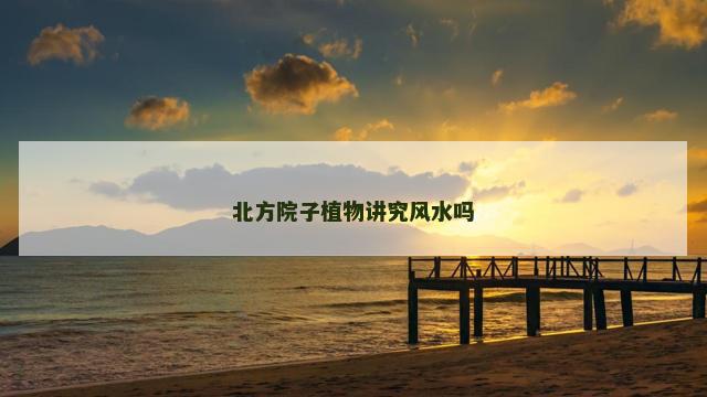 北方院子植物讲究风水吗