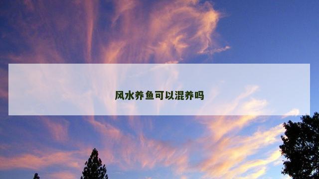 风水养鱼可以混养吗