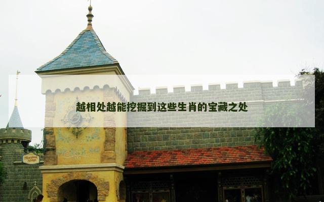 越相处越能挖掘到这些生肖的宝藏之处